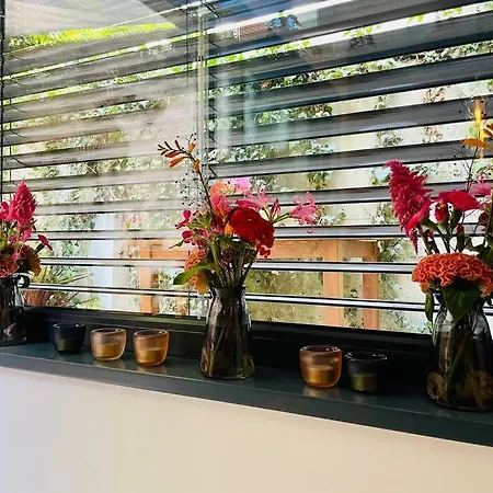 Apartment Der Vitihof Loft